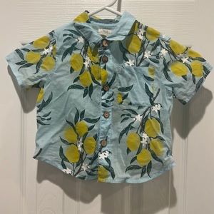 Blue Rooster toddler top